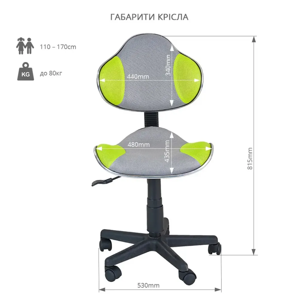 Ортопедическое детское кресло FunDesk LST3 Green-Grey Ортопедическое детское кресло FunDesk LST3 Green-Grey