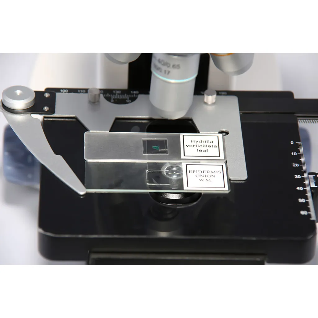 Мікроскоп MICROmed Fusion FS-7630 Мікроскоп MICROmed Fusion FS-7630