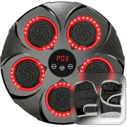 Боксерський тренажер EasyFit настінний EF-0352