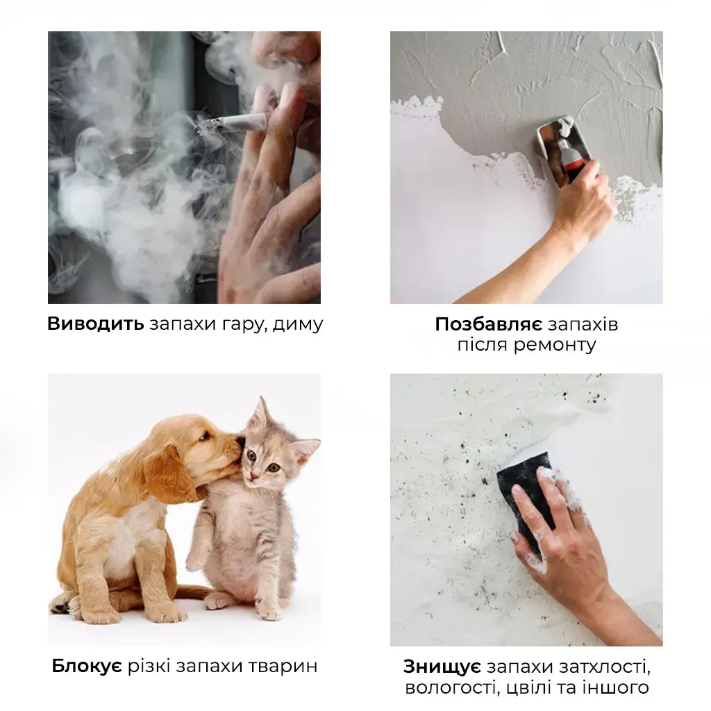 Промисловий озонатор повітря та води Doctor-101 HS-G02A для великих приміщень Промисловий озонатор повітря та води Doctor-101 HS-G02A для великих приміщень