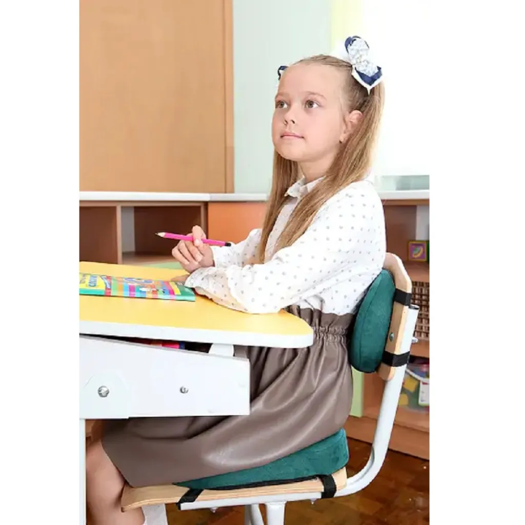 Комплект детских подушек School Comfort M1+ School Comfort М2, черный Комплект детских подушек School Comfort M1+ School Comfort М2, черный