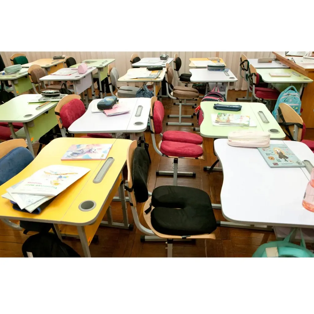Комплект детских подушек School Comfort M1+ School Comfort М2, черный Комплект детских подушек School Comfort M1+ School Comfort М2, черный