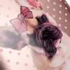Ортопедический рюкзак каркасный 1Вересня H-29 Dolly Dog, персиковый - Фото№11