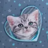 Ортопедичний рюкзак каркасний Kite Education Studio Pets SP25-531M, синій - Фото№12