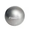 Мяч для фитнеса EasyFit 55 см EF-3006-GY, серый Мяч для фитнеса EasyFit 55 см EF-3006-GY, серый