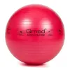 Мяч гимнастический Qmed ABS Gym Ball 55 см, красный Мяч гимнастический Qmed ABS Gym Ball 55 см, красный