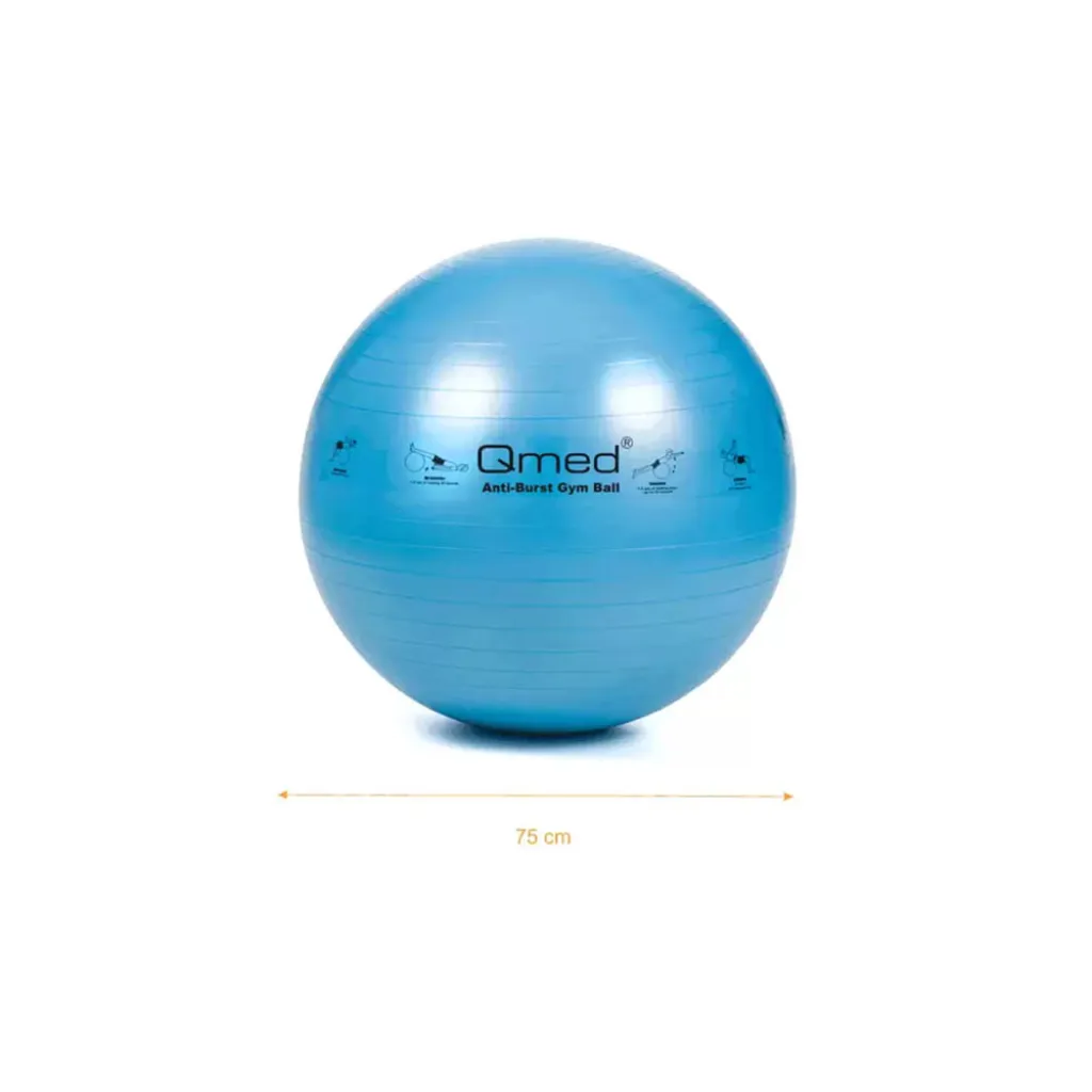 Мяч гимнастический Qmed ABS Gym Ball 75 см, синий Мяч гимнастический Qmed ABS Gym Ball 75 см, синий