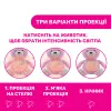 Игрушка музыкальная Медвежонок - Фото№6