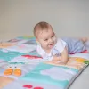 Розвиваючий великий килимок Taf Toy Мої Захоплення - Фото№7