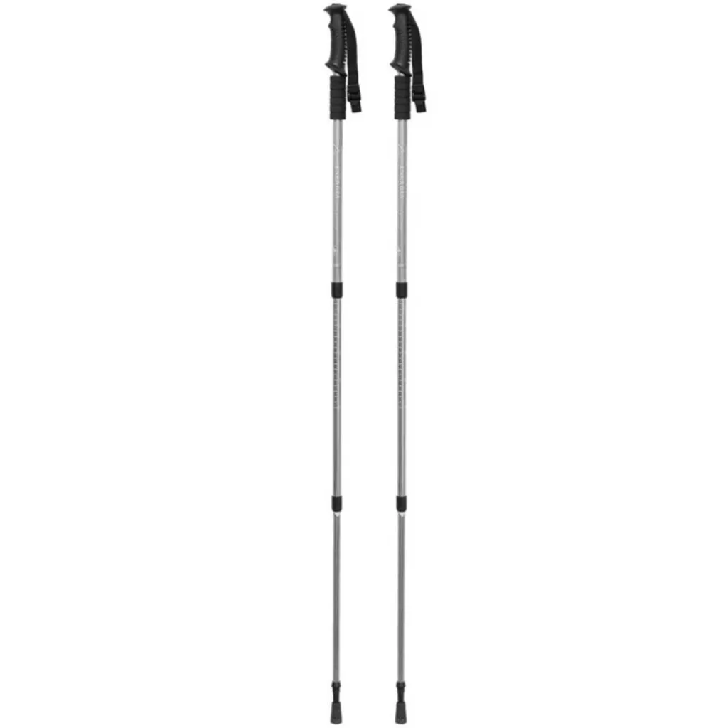 Палиця для скандинавської ходьби EasyFit Energia EF-3924-BK, сірий Палиця для скандинавської ходьби EasyFit Energia EF-3924-BK, сірий