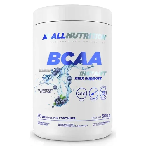Диетическая добавка BCAA Max Support Instant Bllueberry, 500 г - Фото№1