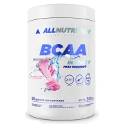 Дієтична добавка BCAA Max Support Instant Bubble Gum, 500 г 