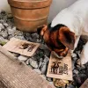 Натуральное лакомство для собак говядина Bark Tail - Dog Treats 100% Beef, 50 г - Фото№9