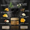 Натуральный бальзам для увлажнения носиков без аромата Bark Tail - Paw Balm, 50 г - Фото№4