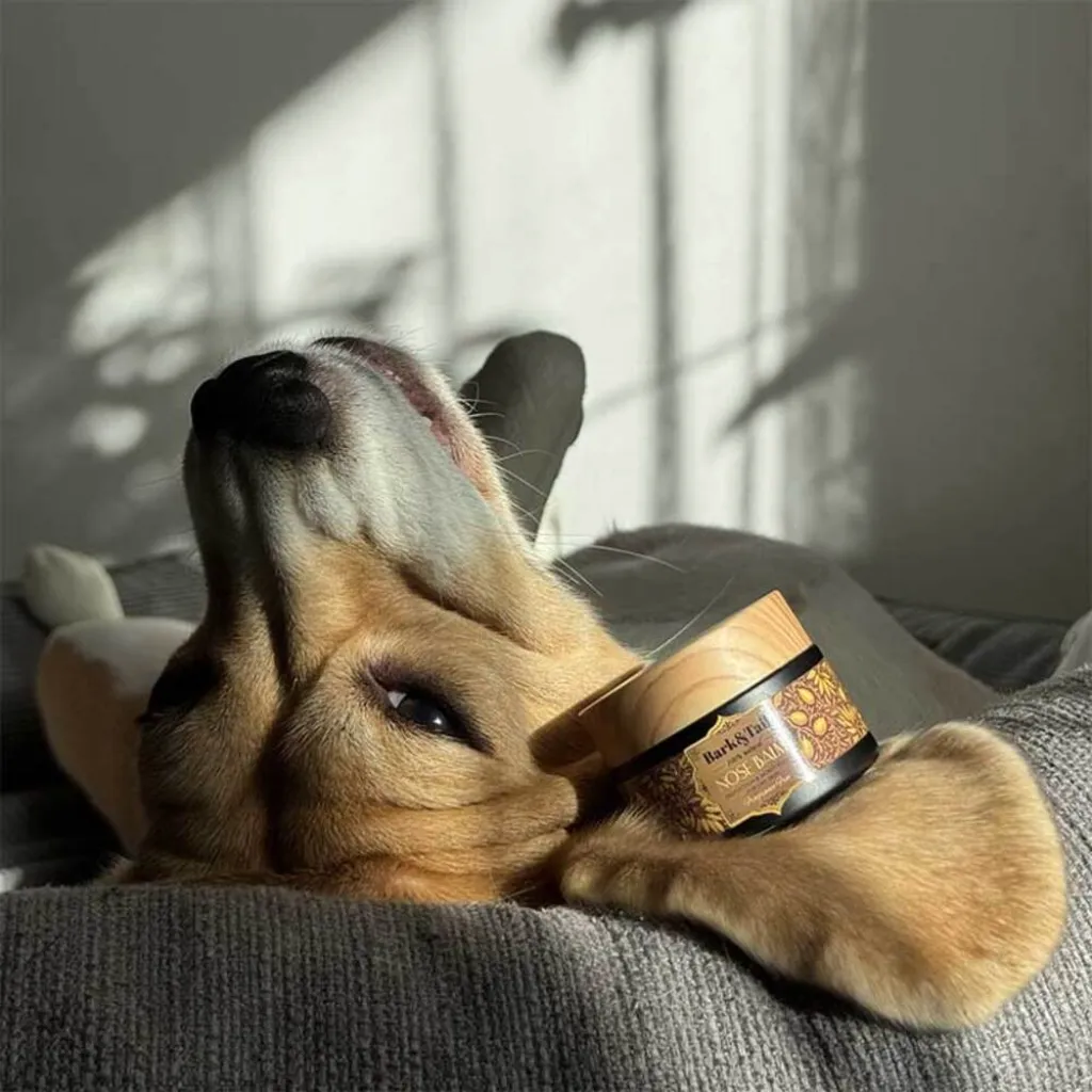 Натуральный бальзам для увлажнения носиков без аромата Bark Tail - Paw Balm, 50 г Натуральный бальзам для увлажнения носиков без аромата Bark Tail - Paw Balm, 50 г