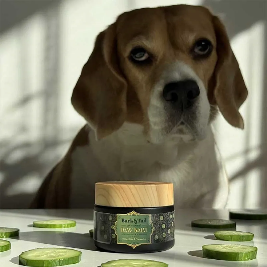 Бальзам для лап Bark Tail - Paw Balm Moisturizing Softening for Boys, Aloe Vera Cucumber, 50 г Бальзам для лап Bark Tail - Paw Balm Moisturizing Softening for Boys, Aloe Vera Cucumber, 50 г