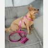 Кожаная сумочка для пакетов для уборки BranniPets Portabolsas Metal Fucsia, фуксия - Фото№6