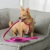 Кожаная сумочка для пакетов для уборки BranniPets Portabolsas Metal Fucsia, фуксия - Фото№7