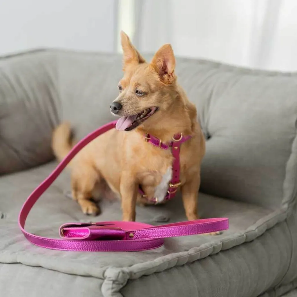 Кожаная сумочка для пакетов для уборки BranniPets Portabolsas Metal Fucsia, фуксия Кожаная сумочка для пакетов для уборки BranniPets Portabolsas Metal Fucsia, фуксия