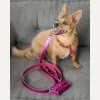 Кожаная сумочка для пакетов для уборки BranniPets Portabolsas Metal Fucsia, фуксия - Фото№8