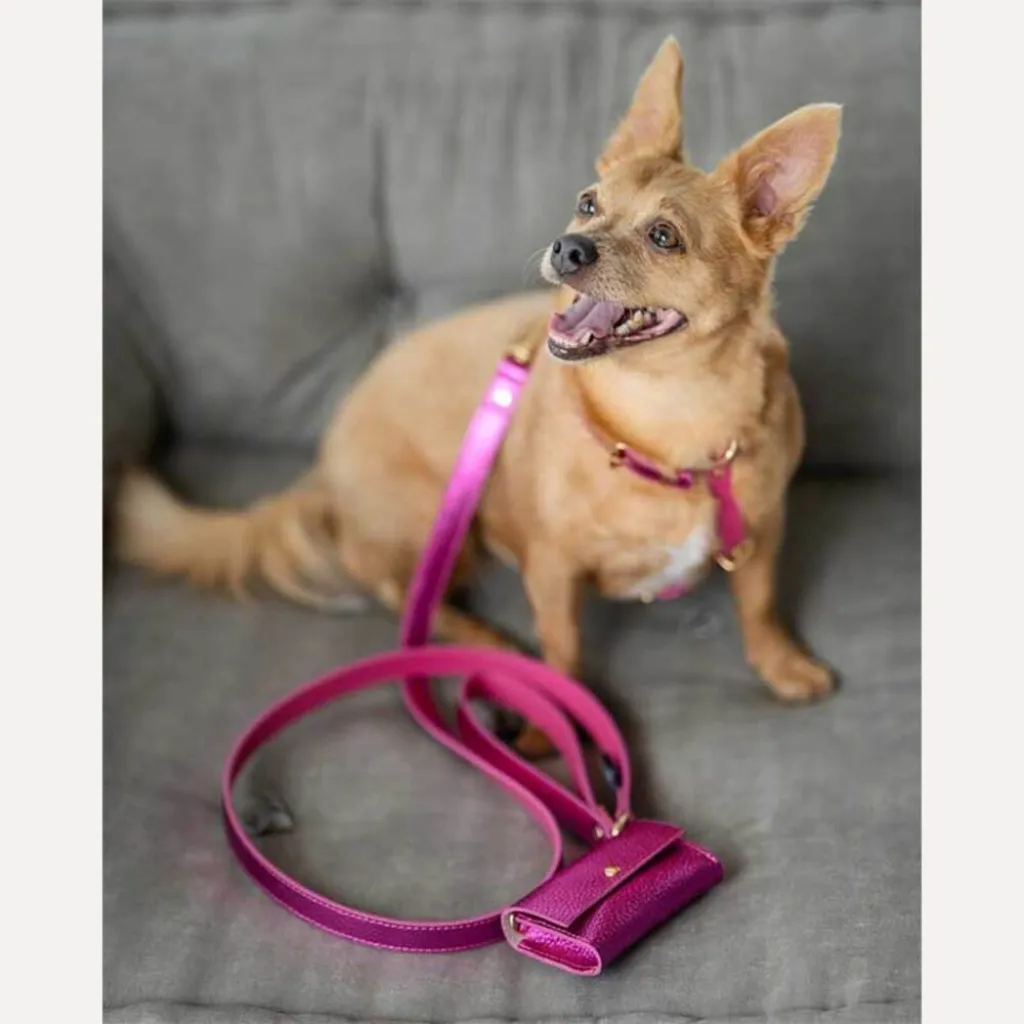 Кожаная сумочка для пакетов для уборки BranniPets Portabolsas Metal Fucsia, фуксия Кожаная сумочка для пакетов для уборки BranniPets Portabolsas Metal Fucsia, фуксия