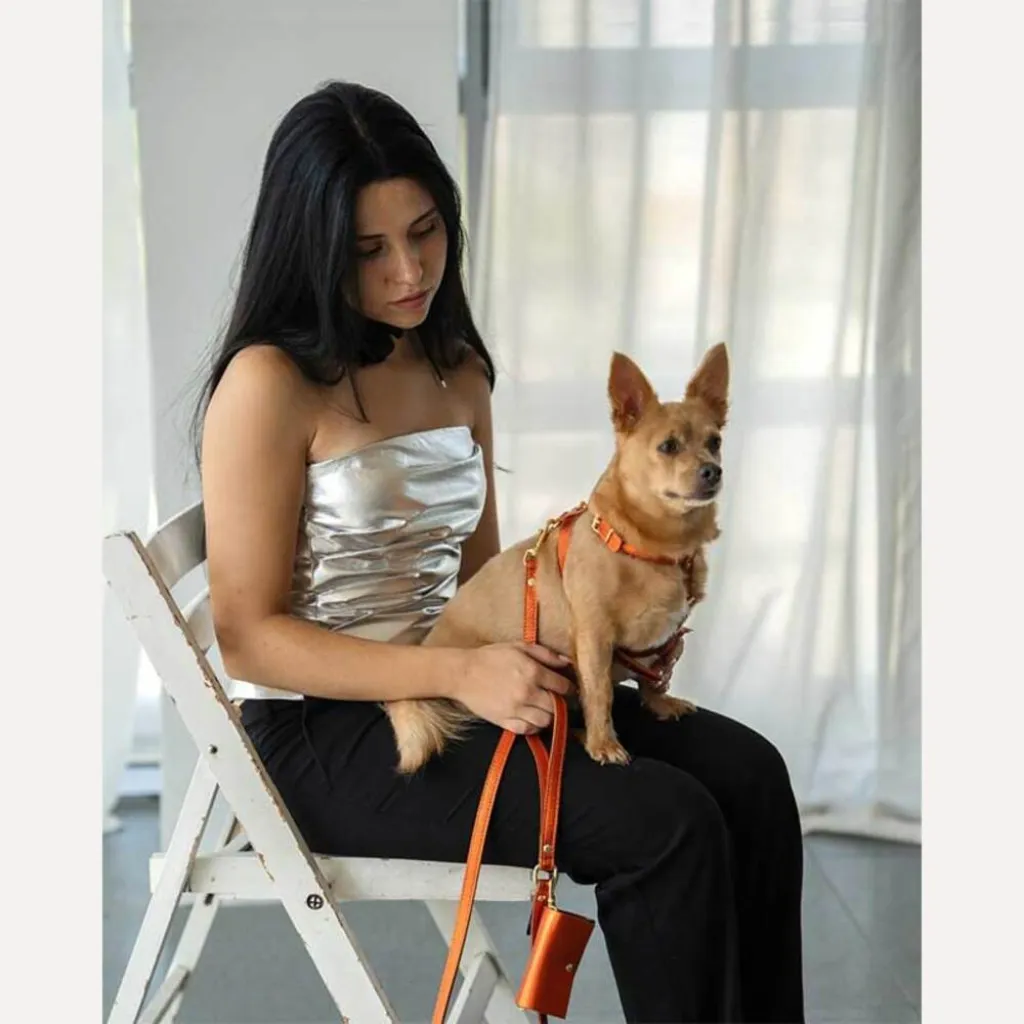 Кожаная сумочка для пакетов для уборки BranniPets Portabolsas Metal Orange, оранжевый