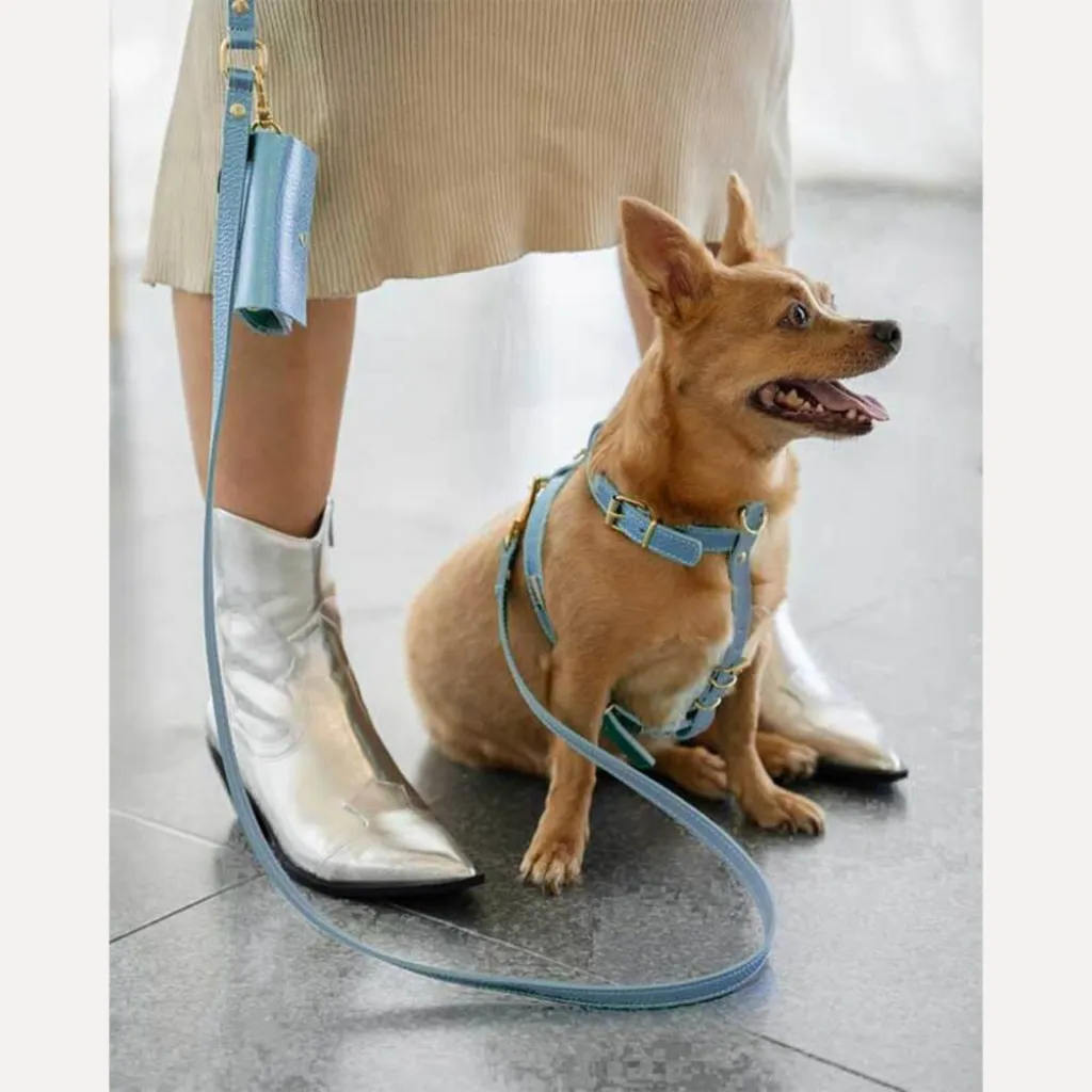 Кожаная сумочка для пакетов для уборки BranniPets Portabolsas Metal Sky blue, голубой Кожаная сумочка для пакетов для уборки BranniPets Portabolsas Metal Sky blue, голубой