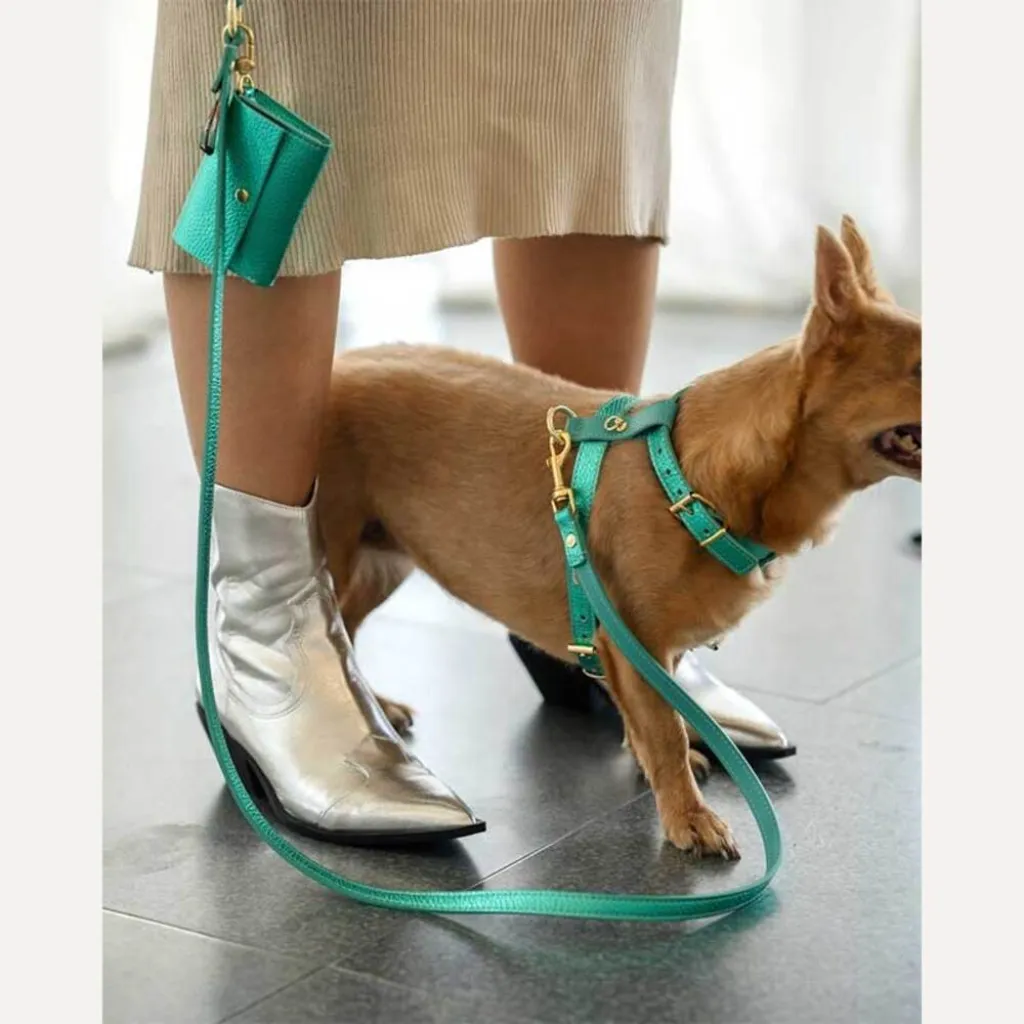 Кожаная сумочка для пакетов для уборки BranniPets Portabolsas Metal Turquoise, бирюзовый