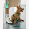 Кожаная сумочка для пакетов для уборки BranniPets Portabolsas Metal Turquoise, бирюзовый - Фото№8