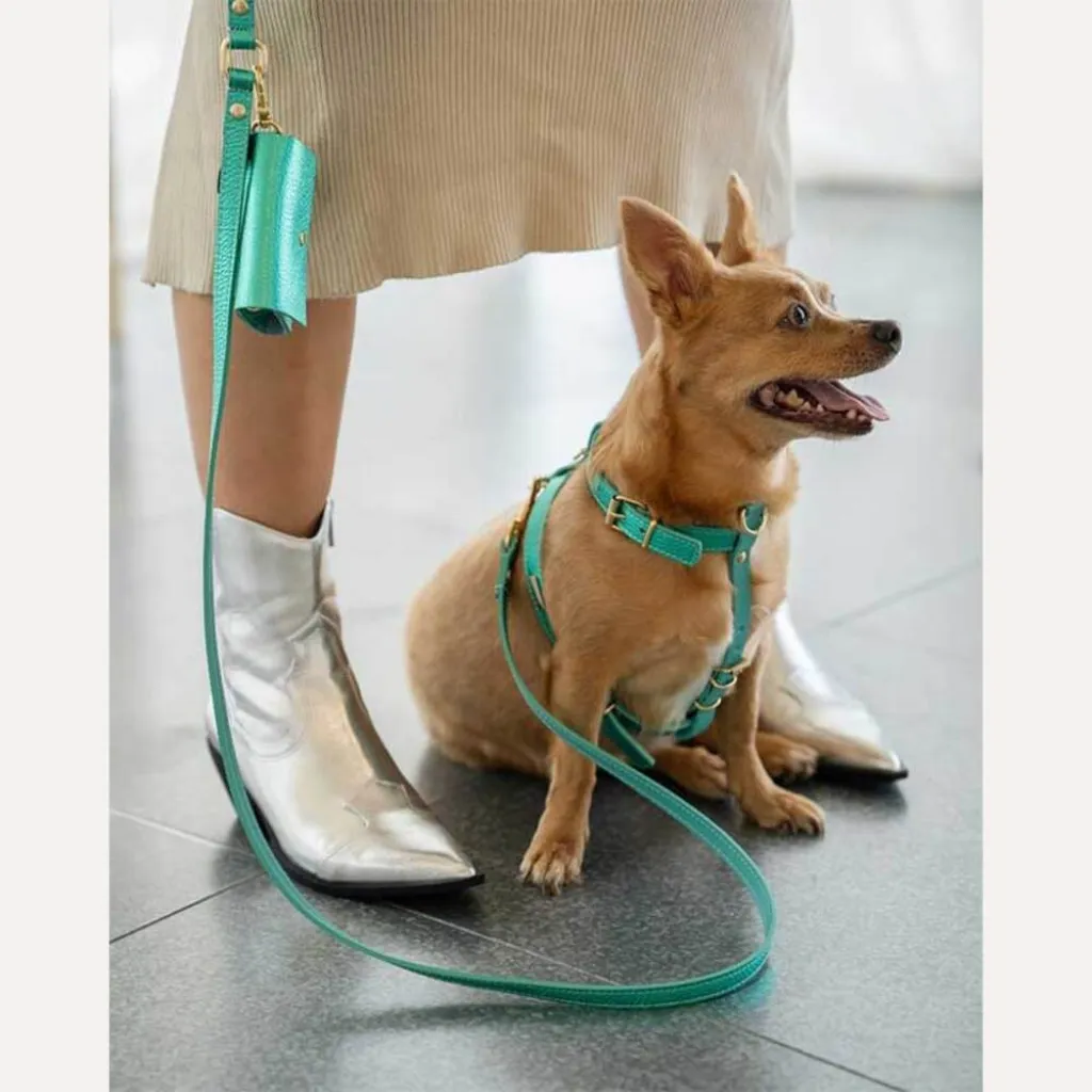 Кожаная сумочка для пакетов для уборки BranniPets Portabolsas Metal Turquoise, бирюзовый