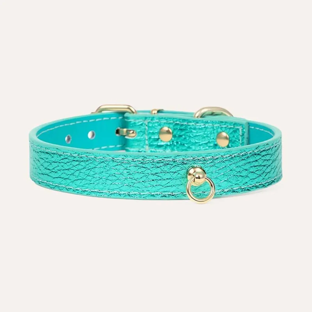 Кожаный ошейник BraniPets, металлический бирюзовый