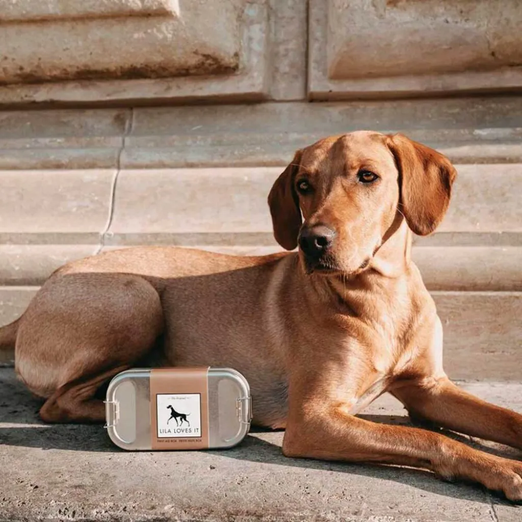 Аптечка первой помощи Lila Loves it - First Aid Box