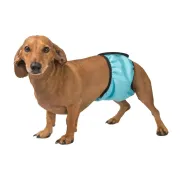 Гигиенический впитывающий пояс для кобелей Okey Doggy, голубой