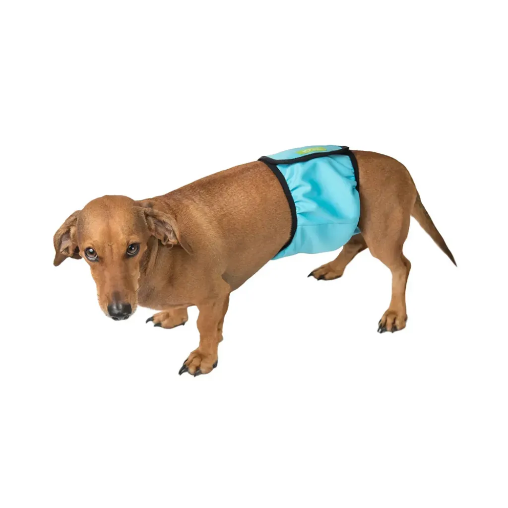 Гигиенический впитывающий пояс для кобелей Okey Doggy, черный
