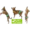 Гигиенический впитывающий пояс для кобелей Okey Doggy, черный - Фото№12