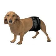 Гигиенический впитывающий пояс для кобелей Okey Doggy, черный