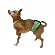 Гигиенический впитывающий пояс для кобелей Okey Doggy, салатовый