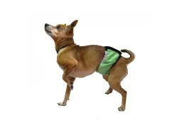 Гигиенический впитывающий пояс для кобелей Okey Doggy, салатовый Гигиенический впитывающий пояс для кобелей Okey Doggy, салатовый