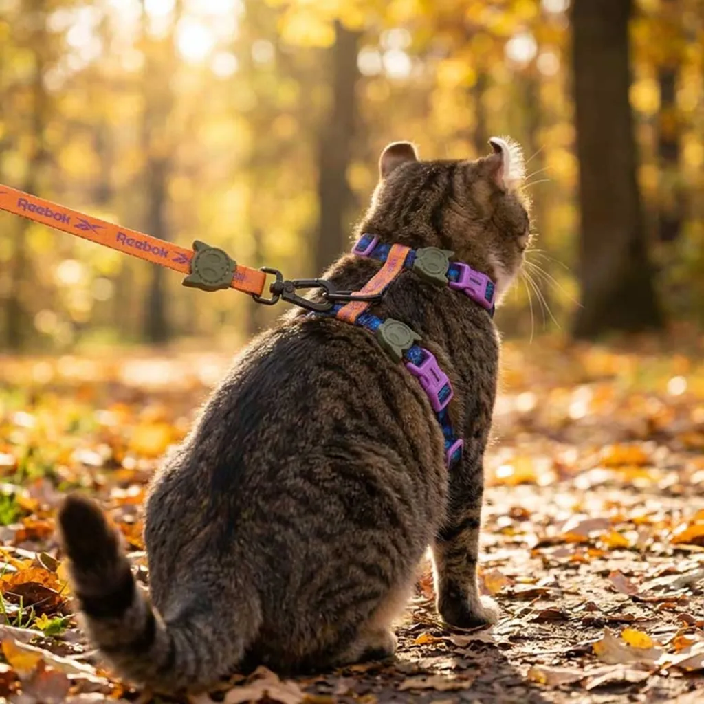 Набор шлейки и поводка для котов Zee.Cat Trekk Harness+Leash Set