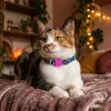 Ошейник для кошек Zee.Cat Aerobic Cat Collar - Фото№7