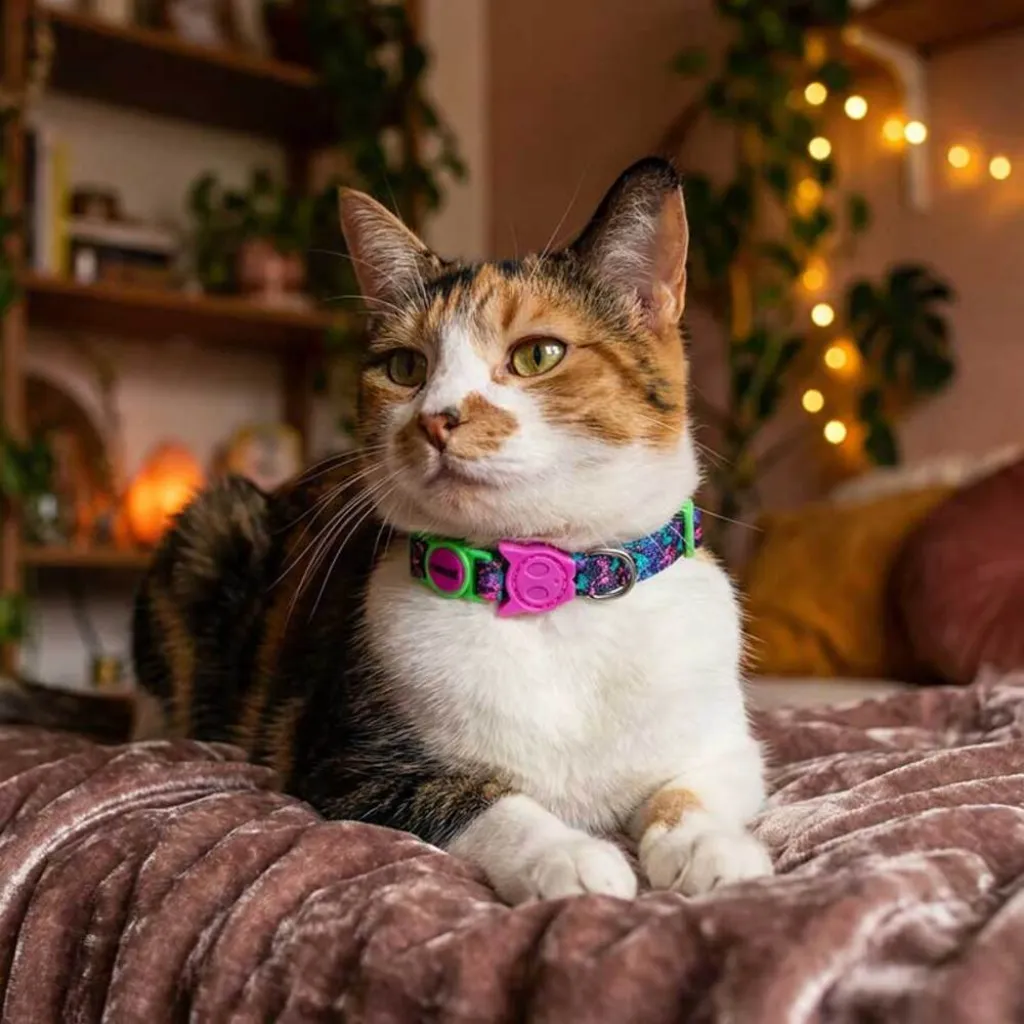 Ошейник для кошек Zee.Cat Aerobic Cat Collar Ошейник для кошек Zee.Cat Aerobic Cat Collar