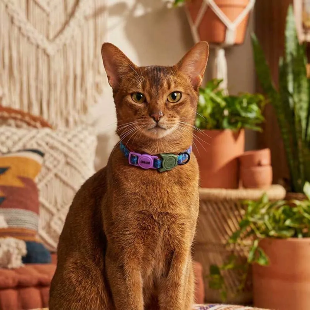 Ошейник для кошек Zee.Cat Trekk Cat Collar Ошейник для кошек Zee.Cat Trekk Cat Collar