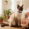 Ошейник для кошек Zee.Cat Trekk Cat Collar - Фото№7