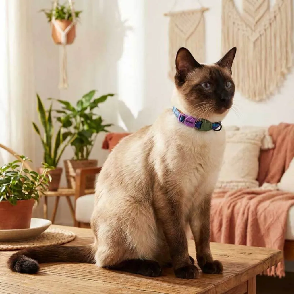 Ошейник для кошек Zee.Cat Trekk Cat Collar Ошейник для кошек Zee.Cat Trekk Cat Collar