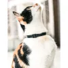 Ошейник для кошек Zee.Cat Gotham Cat - Фото№6