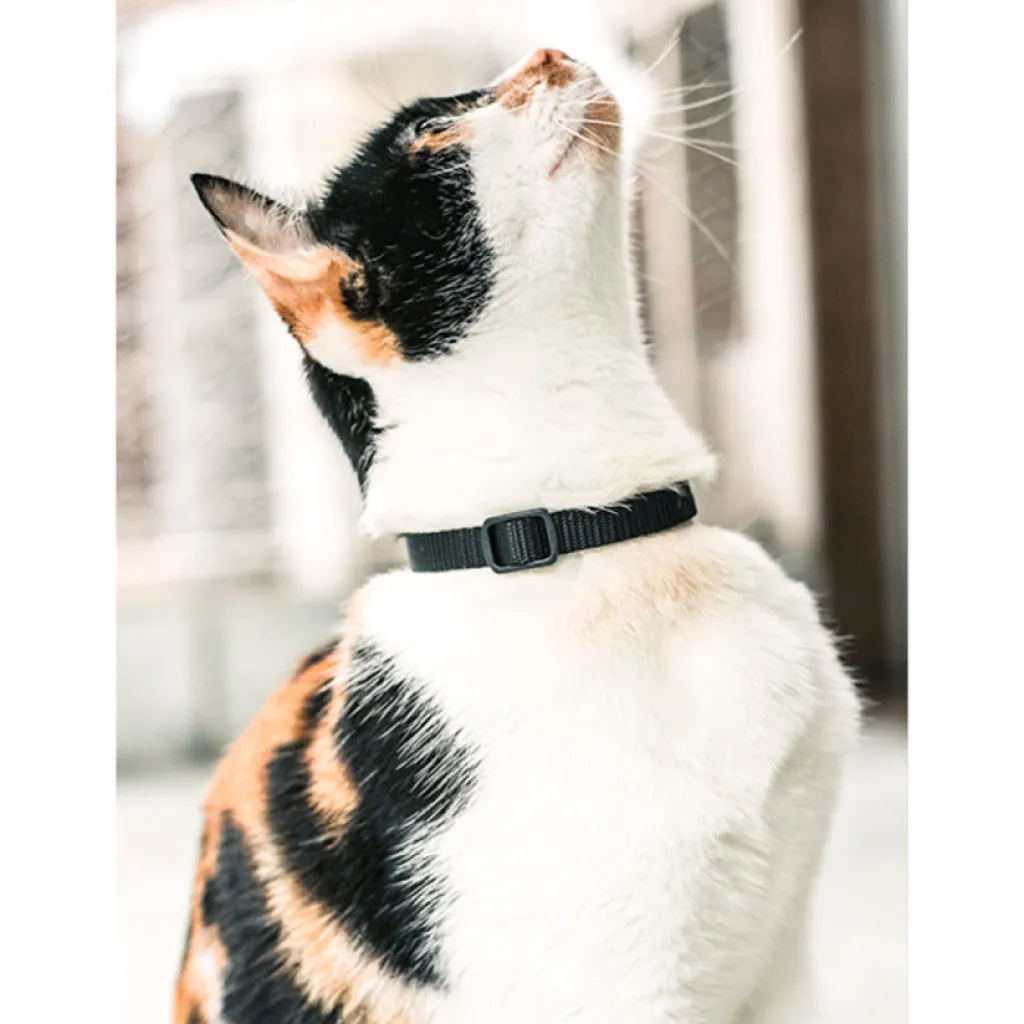 Ошейник для кошек Zee.Cat Gotham Cat Ошейник для кошек Zee.Cat Gotham Cat