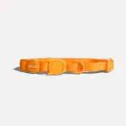 Ошейник для кошек Zee.Cat NeoPro Tangerine Cat Ошейник для кошек Zee.Cat NeoPro Tangerine Cat