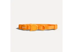 Ошейник для кошек Zee.Cat NeoPro Tangerine Cat Ошейник для кошек Zee.Cat NeoPro Tangerine Cat
