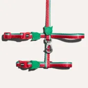 Набор шлейки и поводок для котов Zee.Cat - Lola Harness + Leash Set Набор шлейки и поводок для котов Zee.Cat - Lola Harness + Leash Set