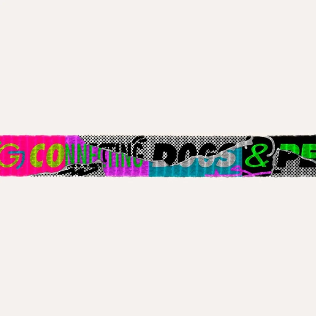 Набор шлейки и поводка для котов Zee.Cat Lords of zee.Town Manifesto Harness + Leash Set